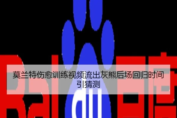 莫兰特伤愈训练视频流出灰熊后场回归时间引猜测