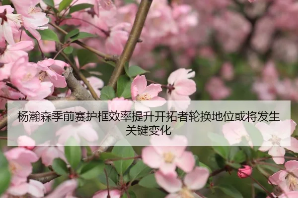 杨瀚森季前赛护框效率提升开拓者轮换地位或将发生关键变化